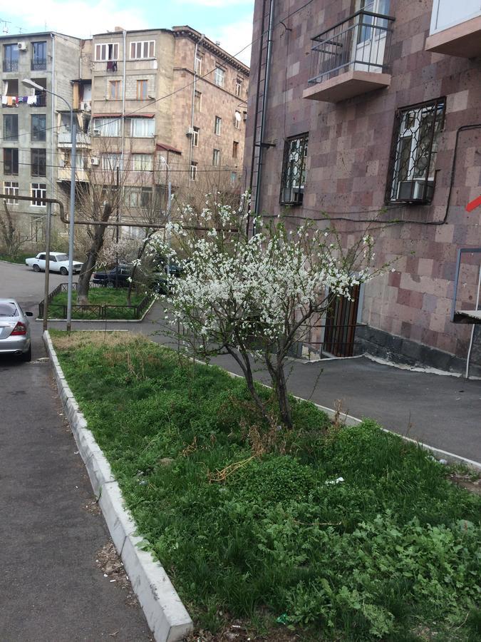 Apartment in the center of Jerevan Buitenkant foto